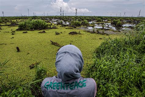 人類與環境的關係|地球之於您、我的重要性？人類該如何與地球共存？